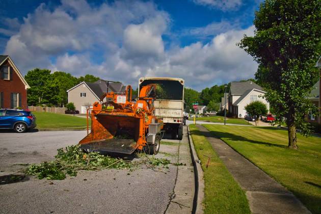 Driscoll Tree Service