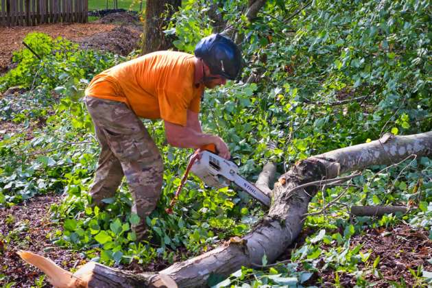 Emergency Tree Service