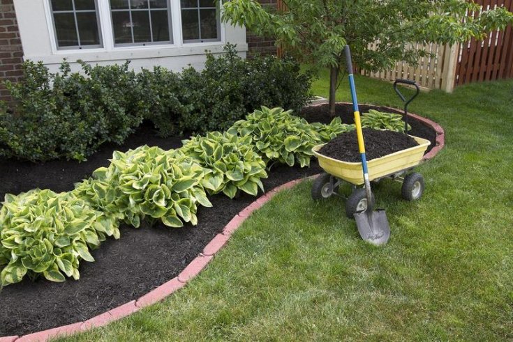 What are the Benefits of Brush Mulching?