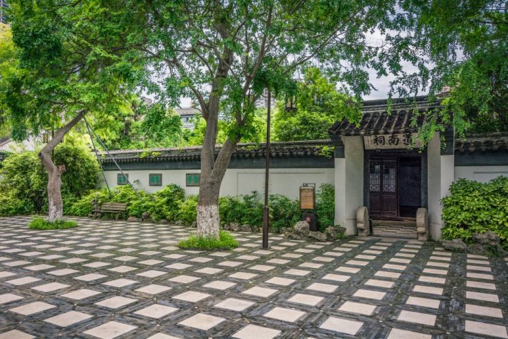Tree Roots vs. Your Driveway - What Homeowners Should Know