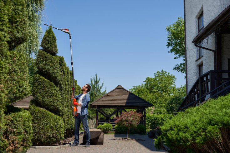 How Tree Services Help Protect Homes and Landscapes