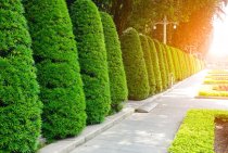 The Best Landscaping Services for Residential and Commercial Properties