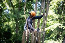 3 Reasons to Have Your Fruit Trees Trimmed This Year