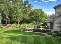 The Lifecycle of a Tree: When to Call a Professional