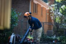 How to Choose the Right Tree Company