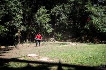How Tree Services Can Actually Save You Money in the Long Run