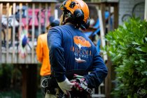 Why Working with Licensed and Insured Tree Companies Matters