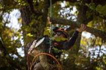 Removing Hazardous Trees Before They Fall