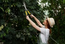 How Proper Pruning Techniques Help Shape Young Trees