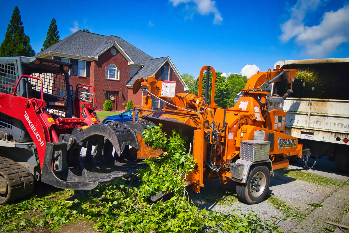 Arborists in Winder, GA